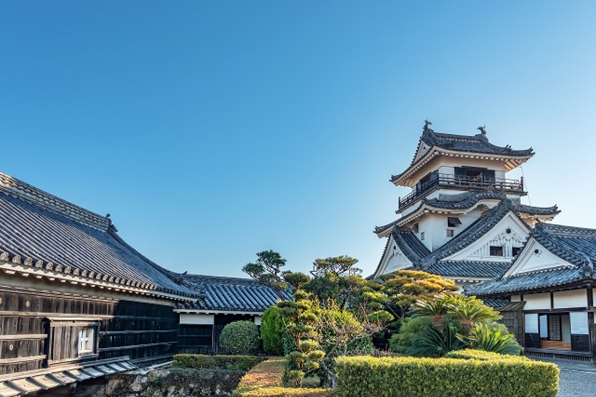 11 Days Japan|Korea UNESCO Tours Tokyo Mt.Fuji Hakone Yokohama Toba